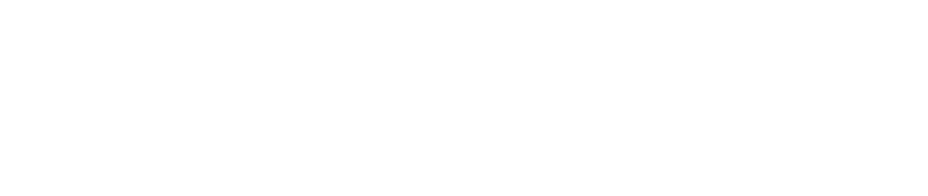 Conlon logo