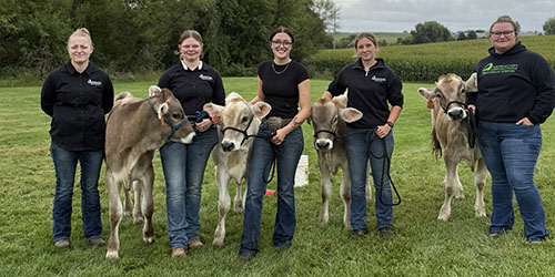 Students with calves at the expo