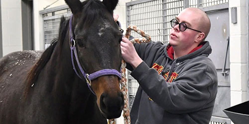 Jacob with horse