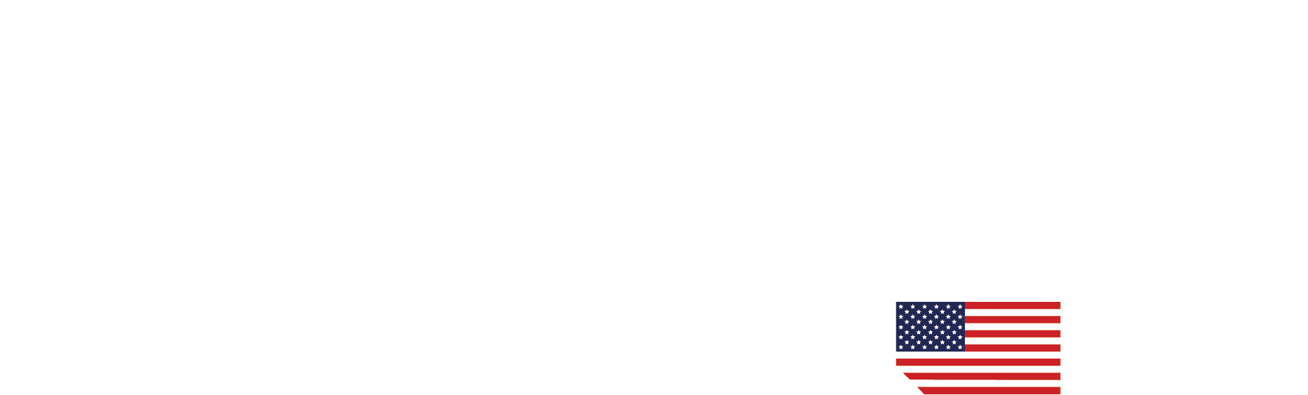 DSP logo