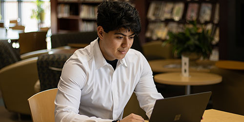 Male student works on computer in the library