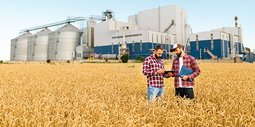 Two male agriculture workers study a GIS system in a wheat field.