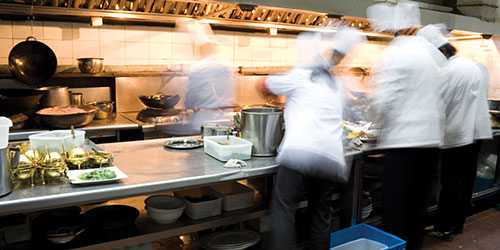 Cooks work in a restaurant kitchen.