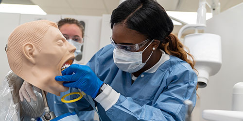 A female dental assisting student prepares a mannequin for dental x-rays.